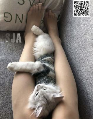 草青青久久_云播放粤语日本成人在线