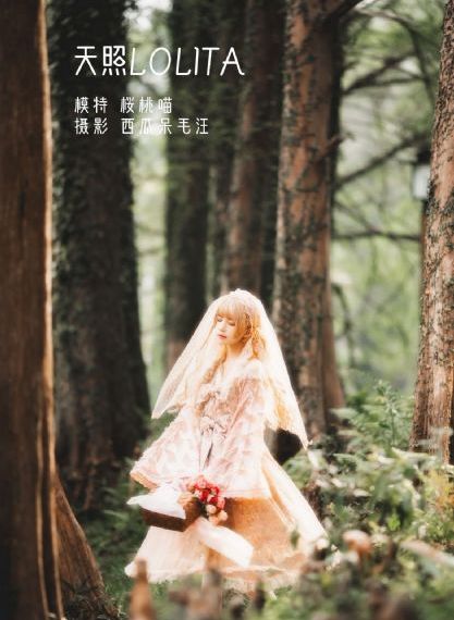 成人网在线免费观看_BD英语完整版观看